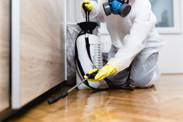 Best Insect Control  in Polkton, NC