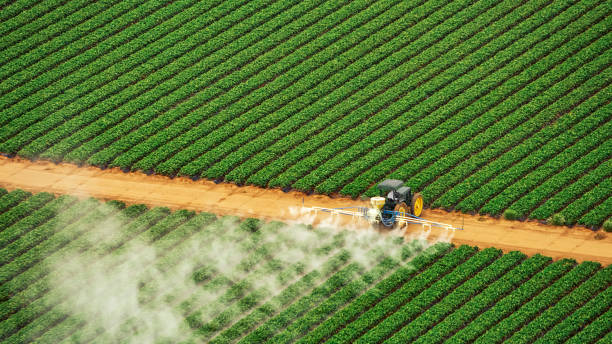 Best Pest Inspection Near Me  in Polkton, NC