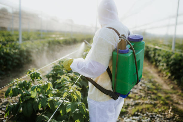 Best Pest Control for Businesses  in Polkton, NC